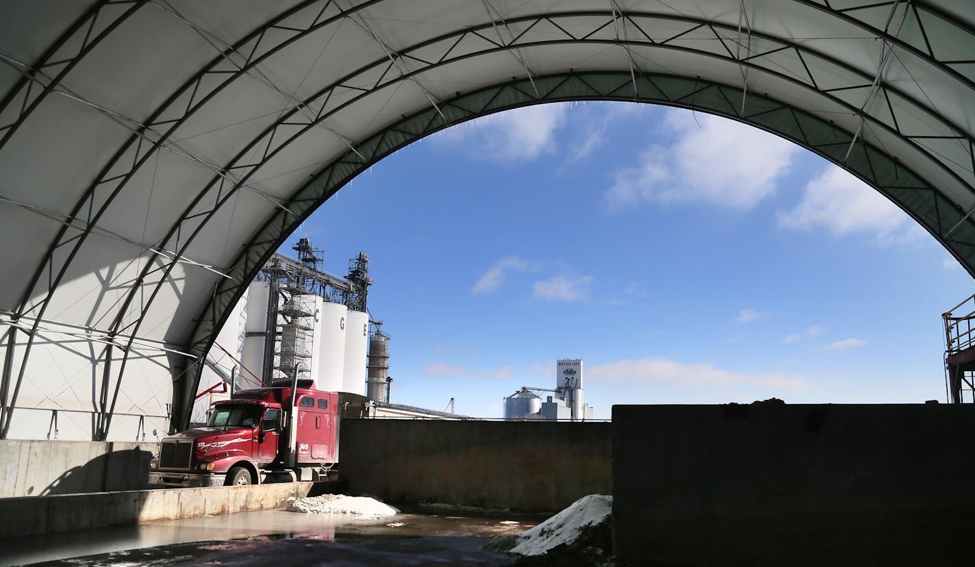 A semi-truck pulls through the wet grain storage area Wednesday, Feb. 11, 2015, at Buffalo Lake Advance Biofuels in Buffalo, MN.](DAVID JOLES/STARTRIBUNE)djoles@startribune.com In the ethanol business, being old and small is a path to losing money. Some of the early ethanol plants built in the 1990s are struggling to compete against newer plants that are four or five times larger and more efficent. The small plant in this community has been shuttered twice as it went through bankruptcy court, No