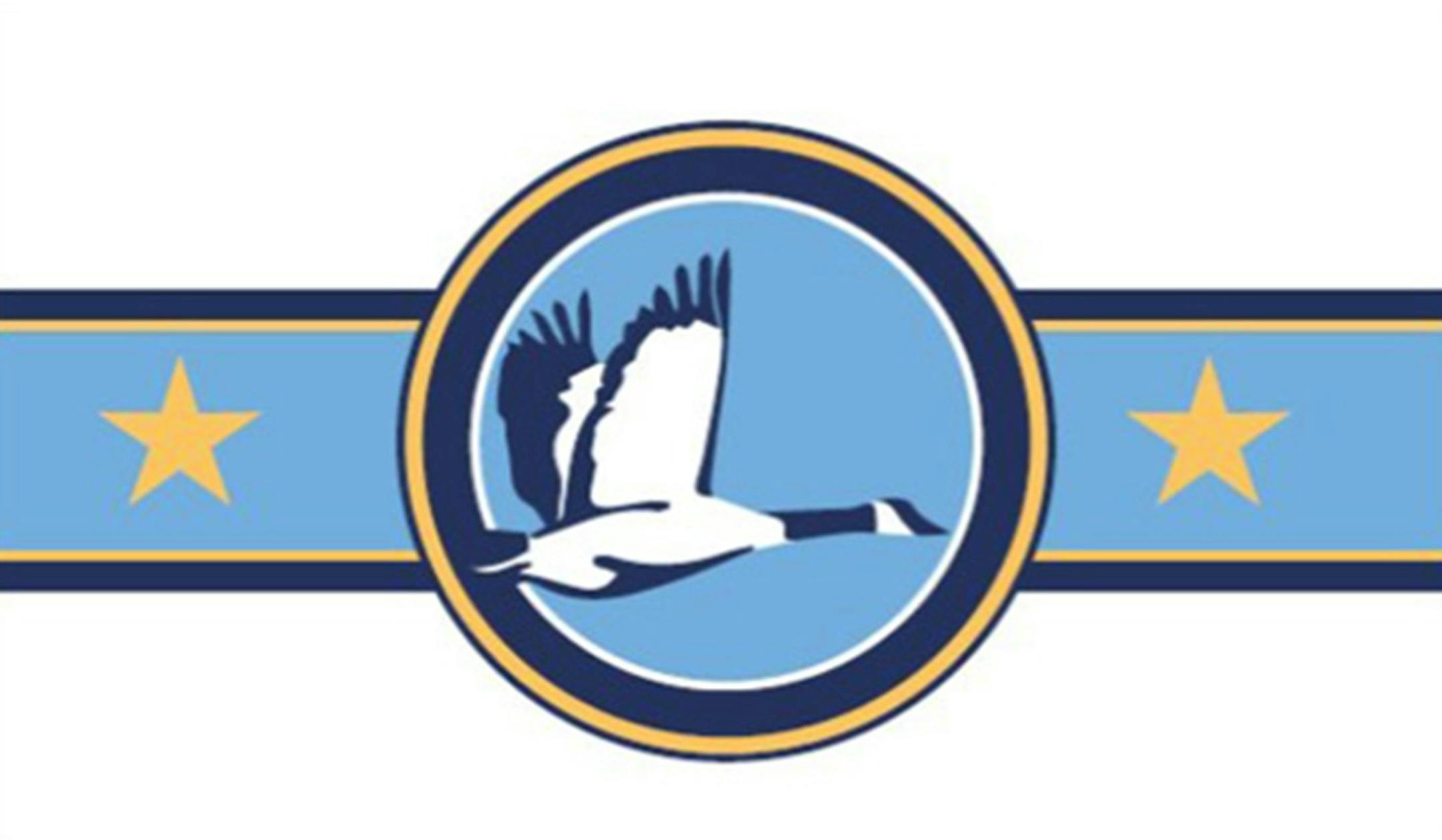 First Place, public voters, #50, Leo Ariemma, Woodbridge, ON, Canada Design statement: ‘The principle behind the design was to draw on the current flag and modernize it to better represent the City of Rochester today. The blue band across the middle represents the Zumbro River, which runs through the city. In the center of the flag, is a circle similar to the current design representing Silver Lake with a Canada goose flying ahead. Flanking the symbol are two stars to signify the city's p