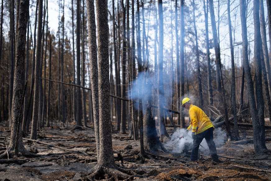 A North Star firefighter pulls a water line to douse a hot spot as part of the efforts to combat the Camp House in Brimson, Minn. on Thursday, May 15, 2025.   ]

ALEX KORMANN • alex.kormann@startribune.com