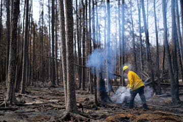 A North Star firefighter pulls a water line to douse a hot spot as part of the efforts to combat the Camp House in Brimson, Minn. on Thursday, May 15,