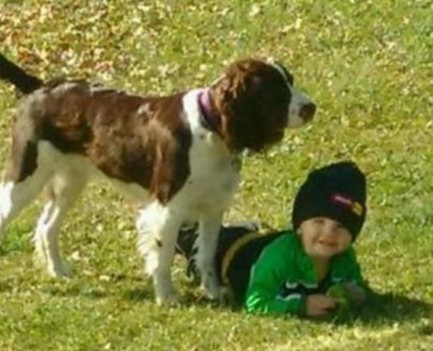 Family dog Bella Grace helped searchers locate a missing 2-year-old missing in central Minnesota on Monday night.