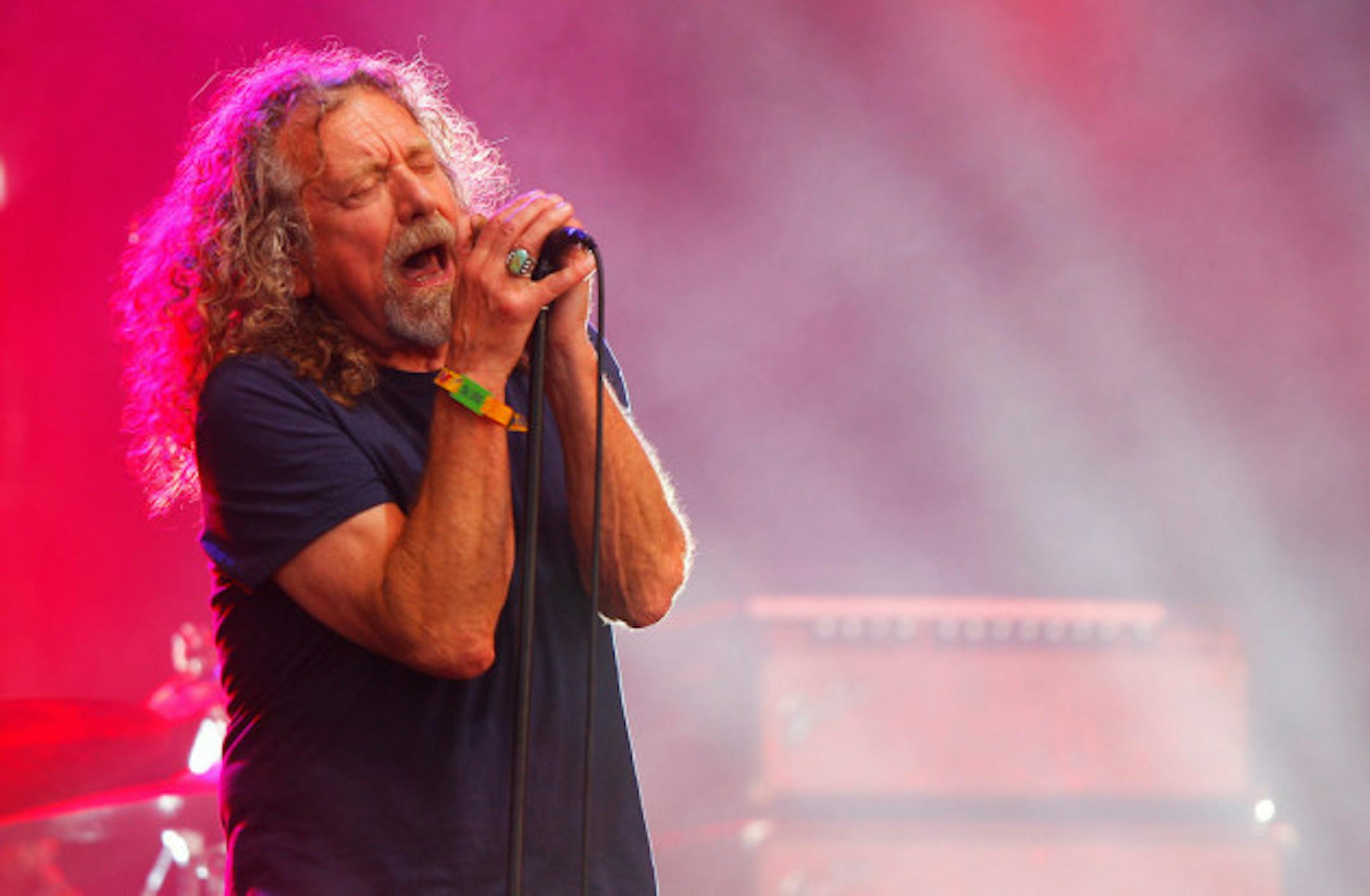 Robert Plant at the Bonnaroo festival in 2015. / Wade Payne, Invision/AP