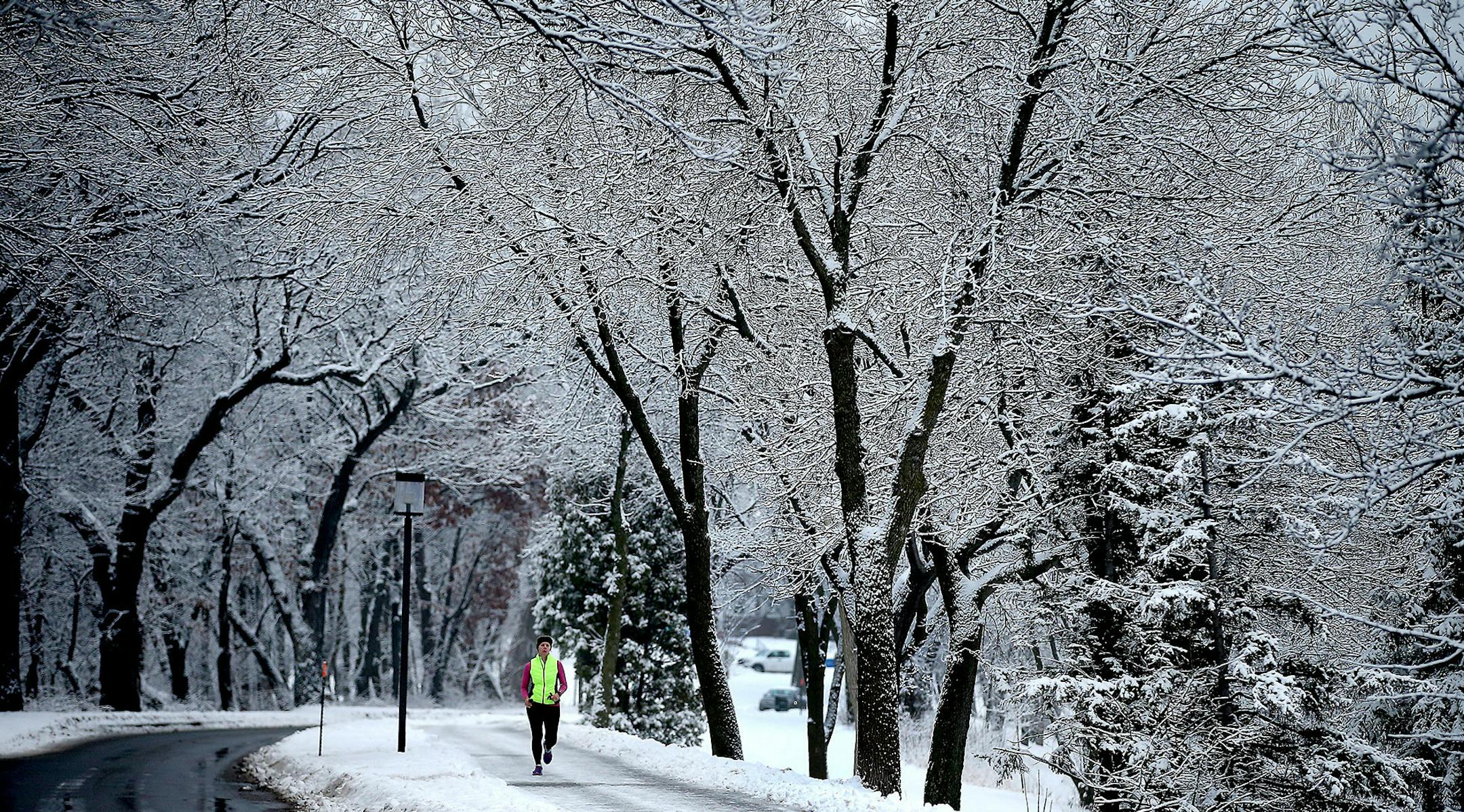 The urban canopy at Lake Harriet, enhanced by an overnight snow in this photo from January.