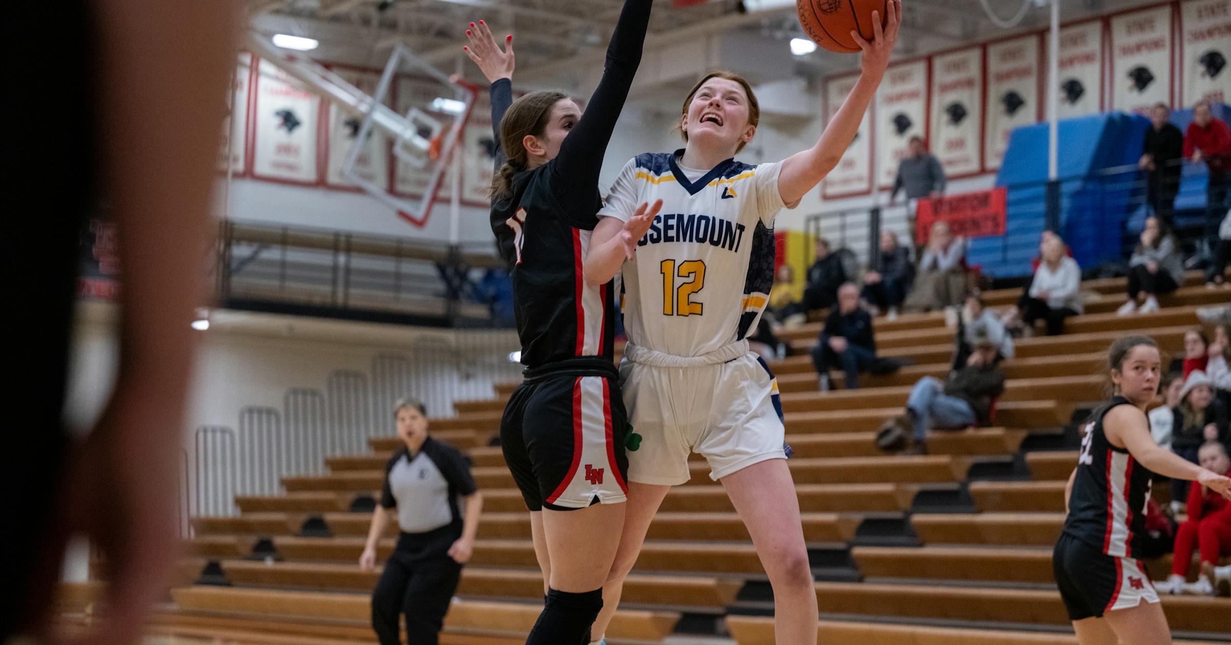 Lake Conference schedule is poised to shake up girls basketball Metro ...