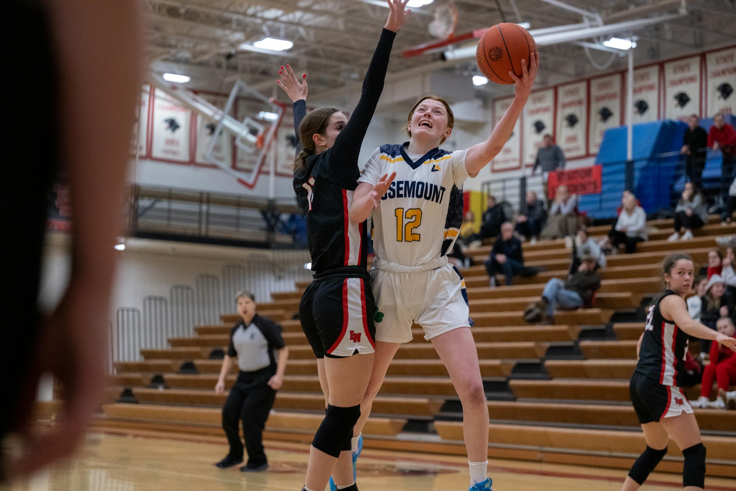 Lake Conference schedule is poised to shake up girls basketball Metro ...