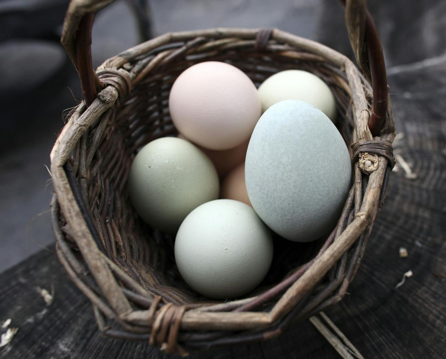 KYNDELL HARKNESS &#x201a;&#xc4;&#xa2; kyndell.harkness@startribune.com MINNEAPOLIS 04/27/11 Families who try to incorporate "green" activities into their lives. The family of Stephanie Oyen and Stephen Kung does that, with chickens in the backyard and a big garden. IN THIS PHOTO ] A basket of eggs collected from their chicken that were in the backyard of the Oyen/Kung house in the Seward neighborhood.