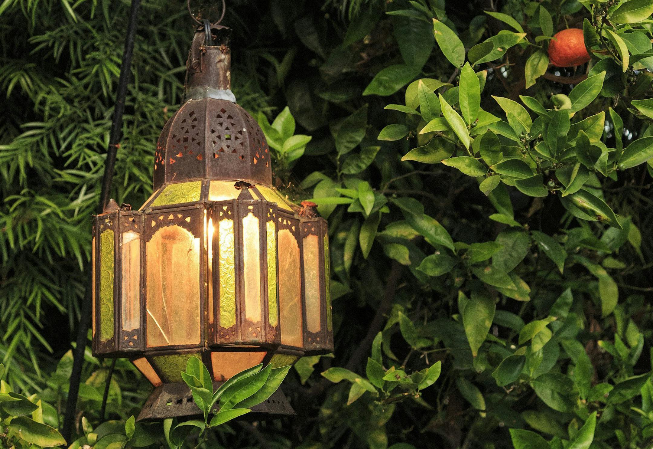 A Moroccan hanging lamp among citrus in a garden. This type of lamp also could be hung indoors. (Ricardo DeAratanha/Los Angeles Times/MCT) ORG XMIT: 1154794