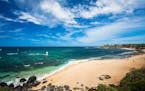 Hookipa Beach, in Paia, Maui, is a hotspot for surfers and turtles, who tend to congregate in distinct areas. 
