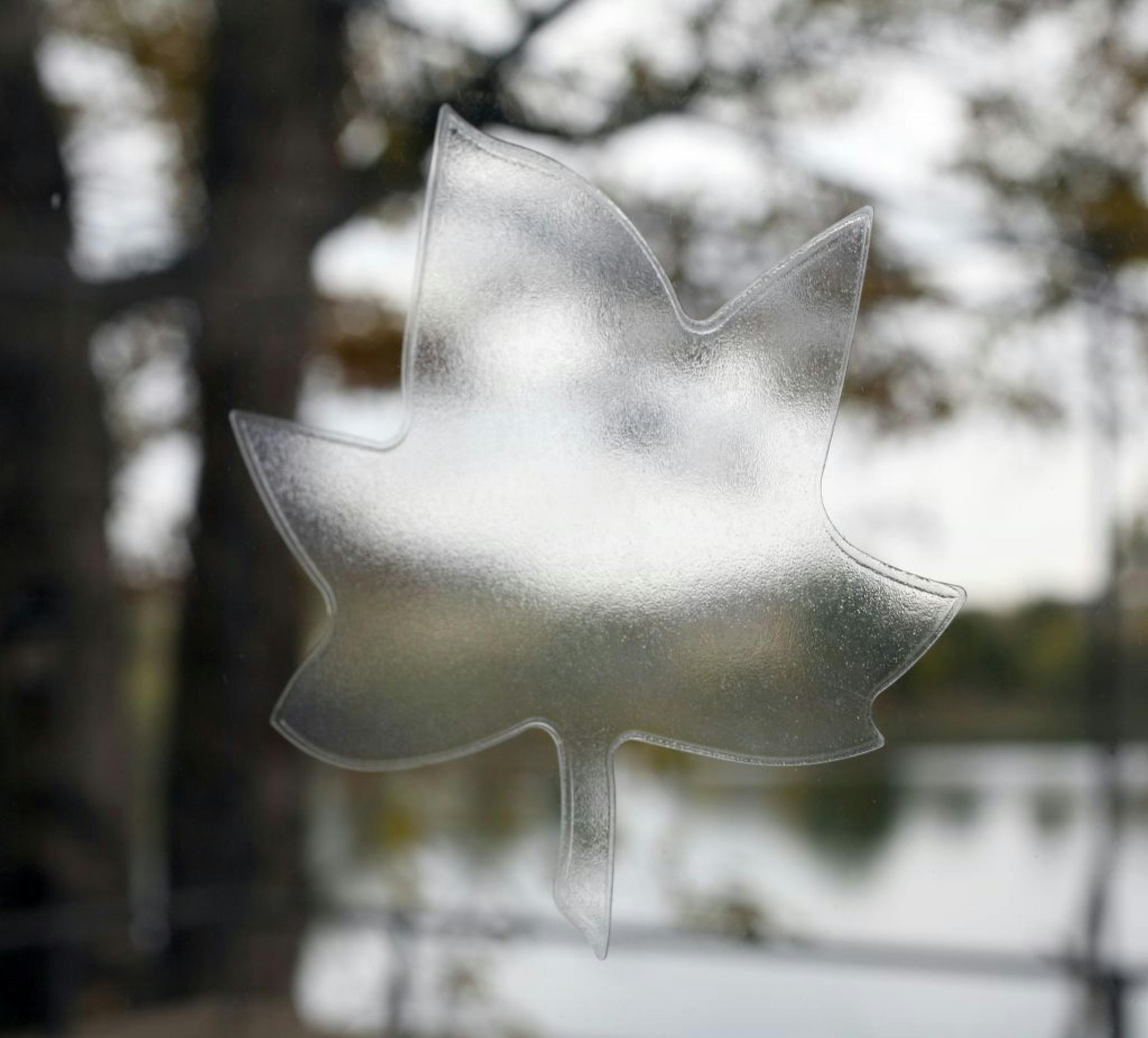 Decals on the windows help distract the birds. It's all about "birdsafe architecture," and designing a home to reduce bird fatalities. Bill Lutz and Julie Brophy bought their house because they loved all the glass, then started hearing "thunks" and finding dead birds. With almost a daily occurrence the couple took action and retrofitted their home with several items to help distract the birds. [ TOM WALLACE • twallace@startribune.com _ Assignment #20020315A_October 25, 2011_ SLUG: birdsafe1030 _