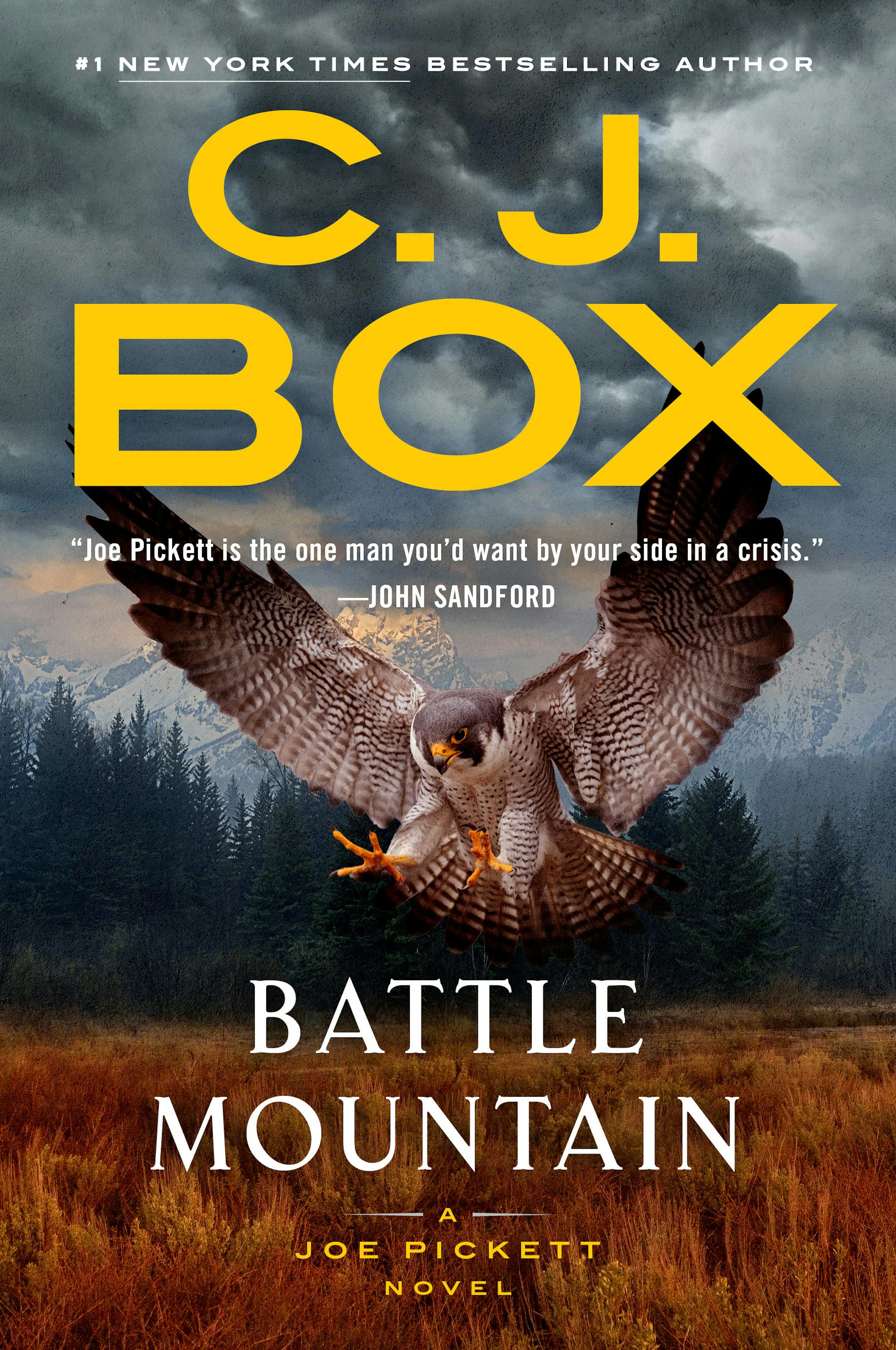 cover of Battle Mountain is a painting of a bird of prey, landing in a field, with mountains in the distance