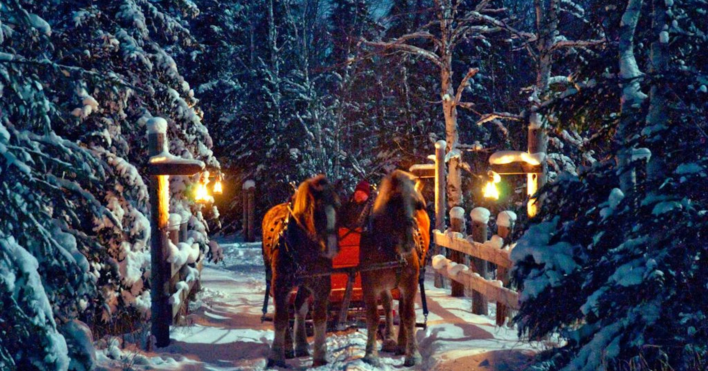 Sleigh ride brings on the magic
