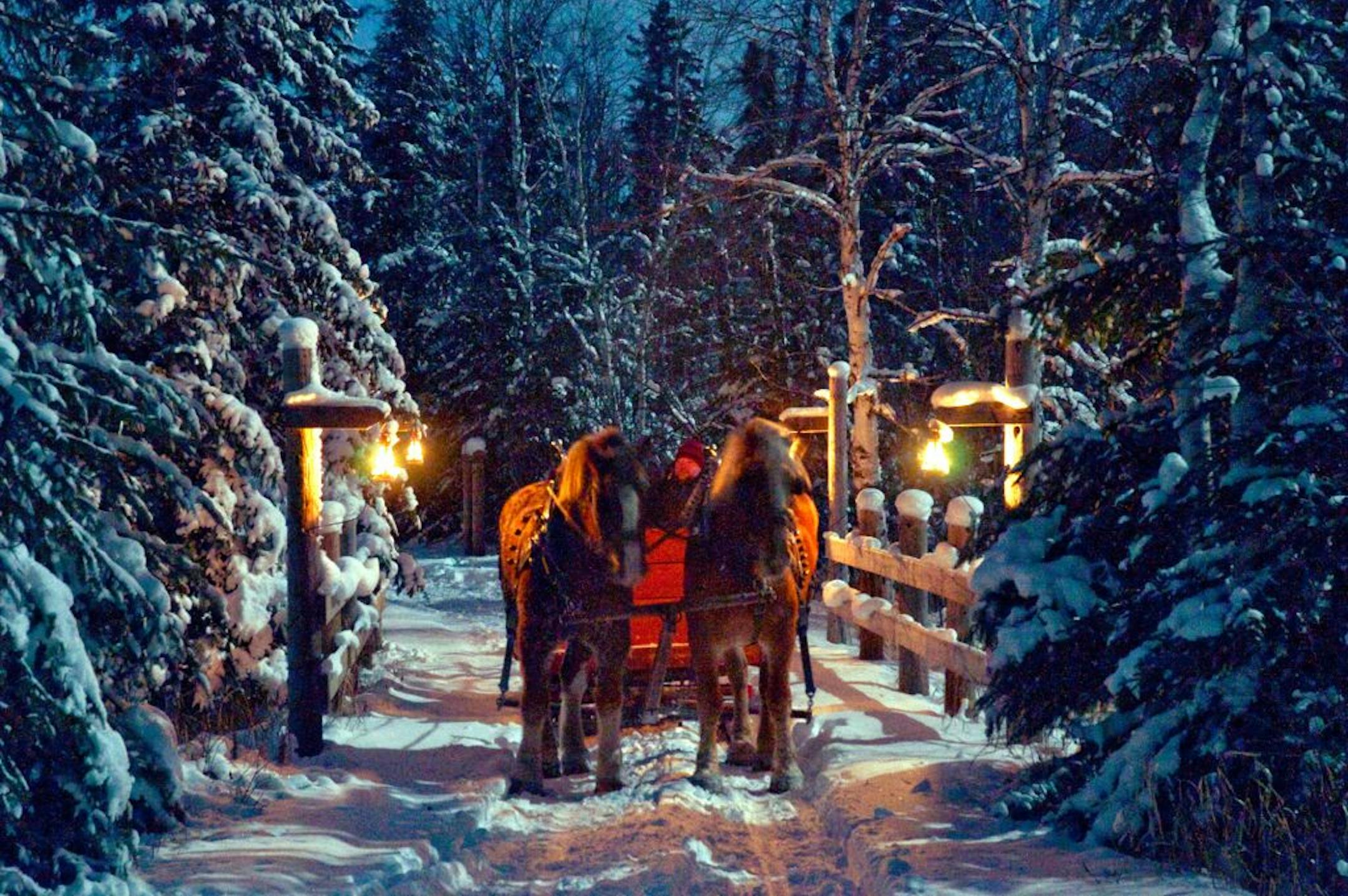 Belgian horses await an evening's sleigh ride at the Patten Homestead along the Gunflint Trail in northern Minnesota, which averages 100 inches of snow in a typical season.