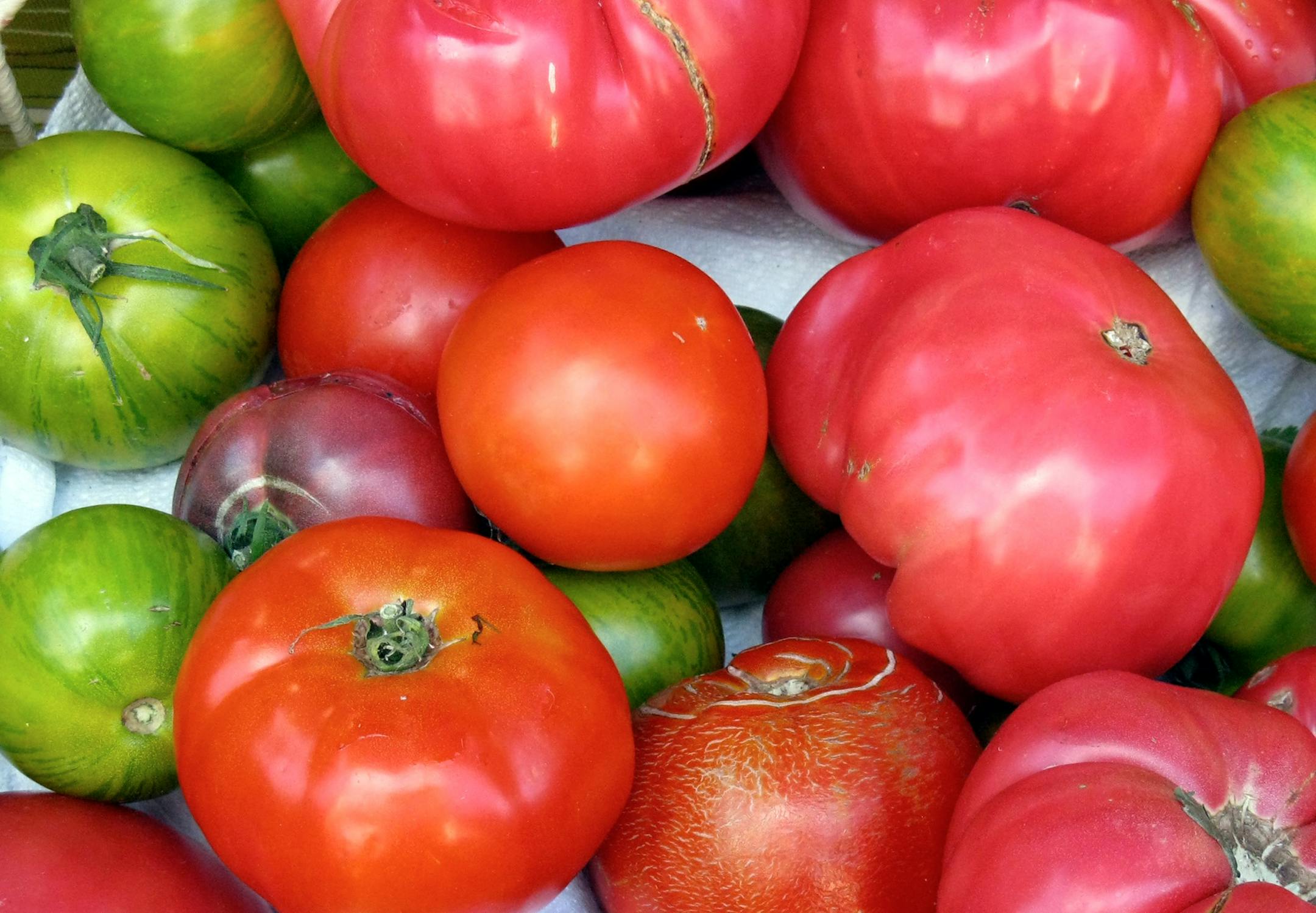 Hierloom tomatoes at the Uptown Farmers at the Mill City Market.