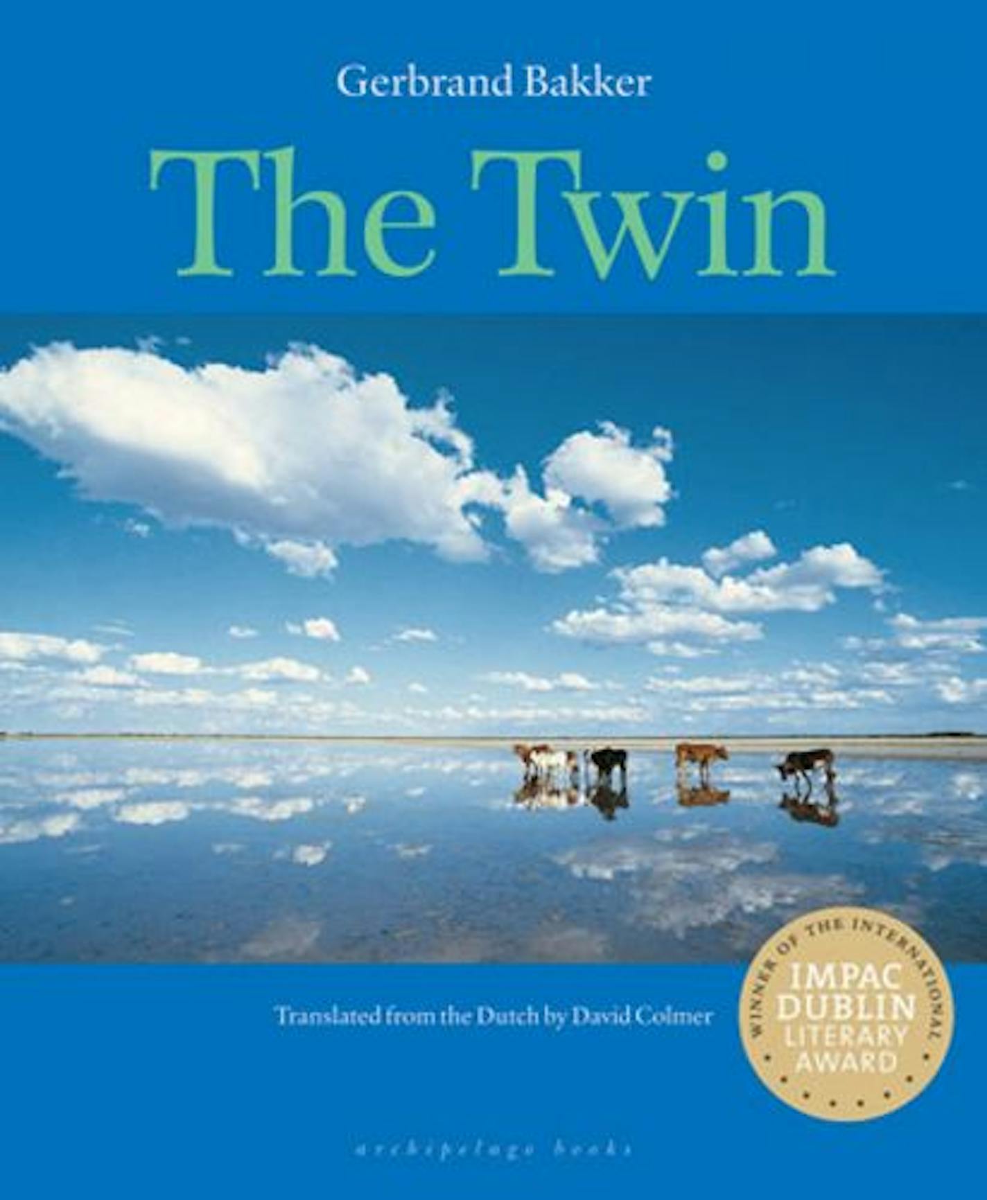 The Twin by Gerbrand Bakker