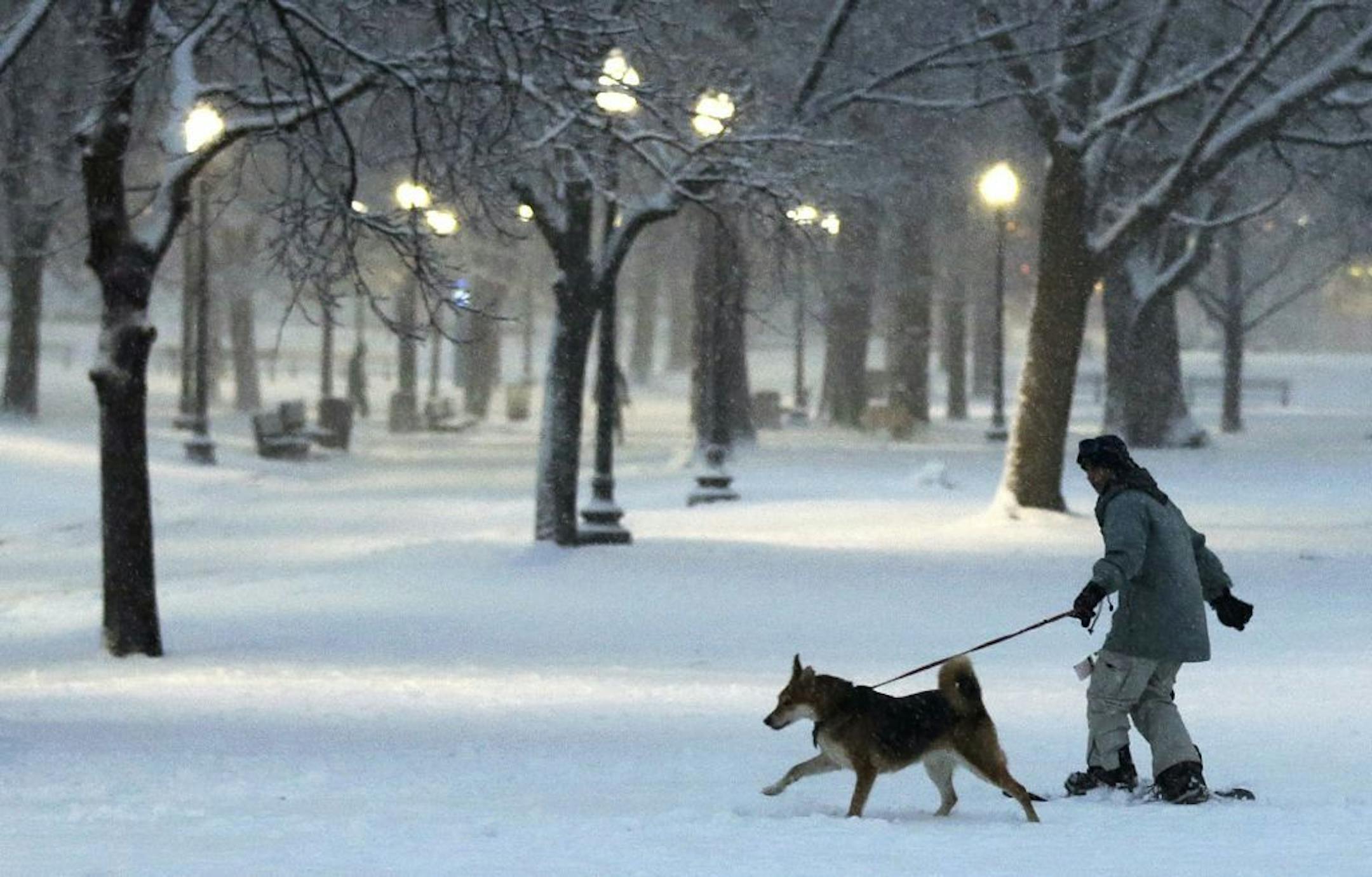 A dog pulls a snowboarder through the Boston Common in Boston, Friday, Feb. 8, 2013. Mass. Gov. Deval Patrick declared a state of emergency Friday and banned travel on roads as of 4 p.m. as a blizzard that could bring nearly 3 feet of snow to the region began to intensify. As the storm gains strength, it will bring "extremely dangerous conditions" with bands of snow dropping up to 2 to 3 inches per hour at the height of the blizzard, Patrick said.