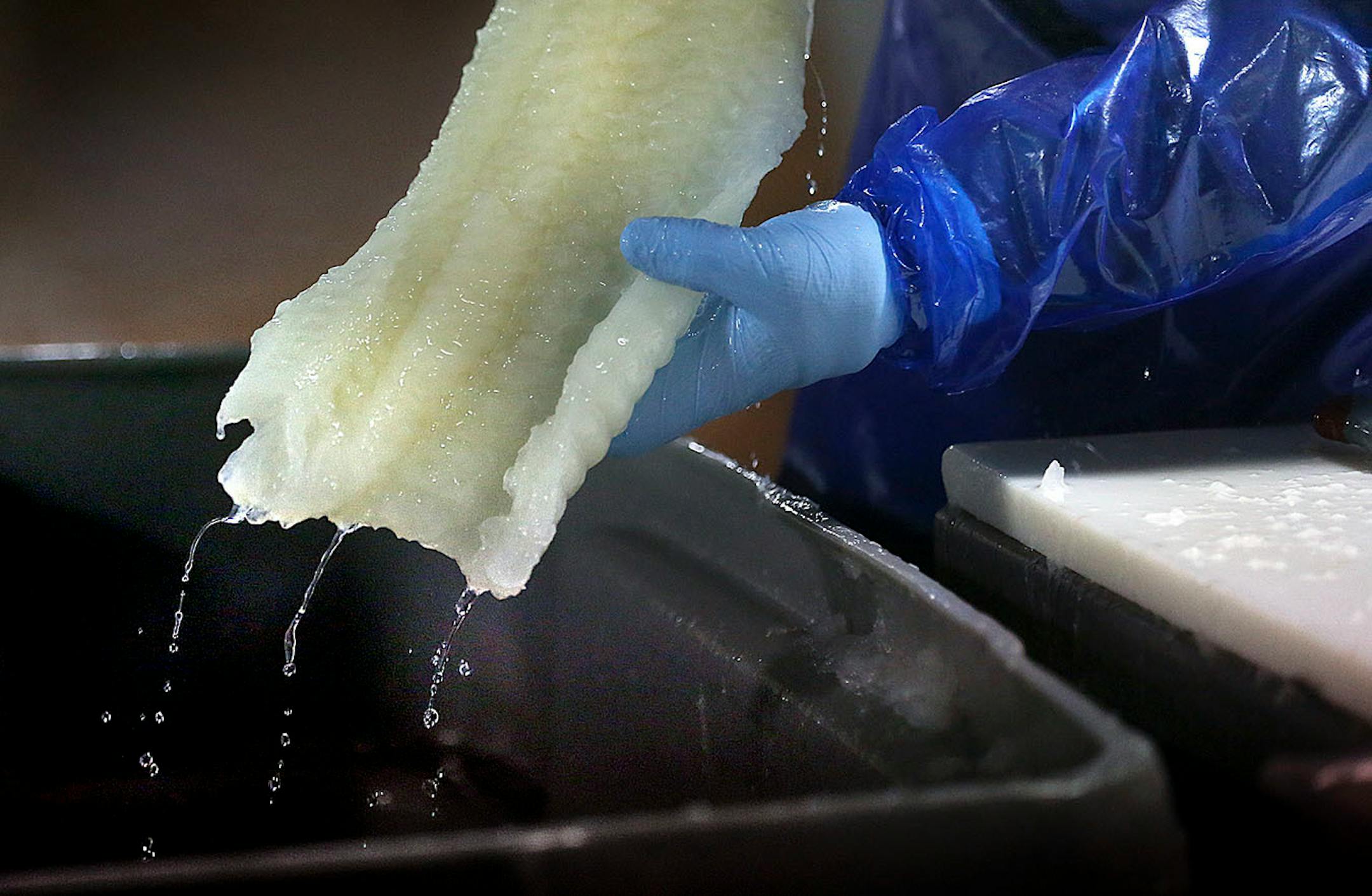 After cod is treated in a solution, the resulting lutefisk is ready to cut and package for market. ] JIM GEHRZ • james.gehrz@startribune.com / Minneapolis, MN / December 12 2014 /10:00 AM - BACKGROUND INFORMATION: Olsen Fish Company of Minneapolis is the largest maker of lutefisk in North America. Chris Dorff is president of the company.