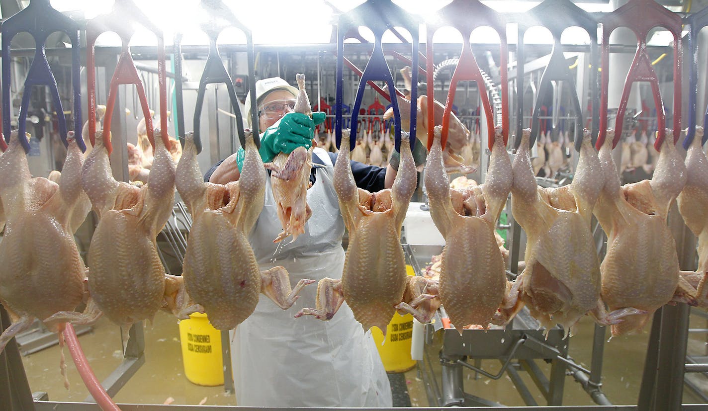 The chicken-producing plant in Cold Spring, pictured in 2016 when it was owned by Gold'n Plump Poultry. It is now owned by Pilgrim's Pride. (ELIZABETH FLORES/STAR TRIBUNE)