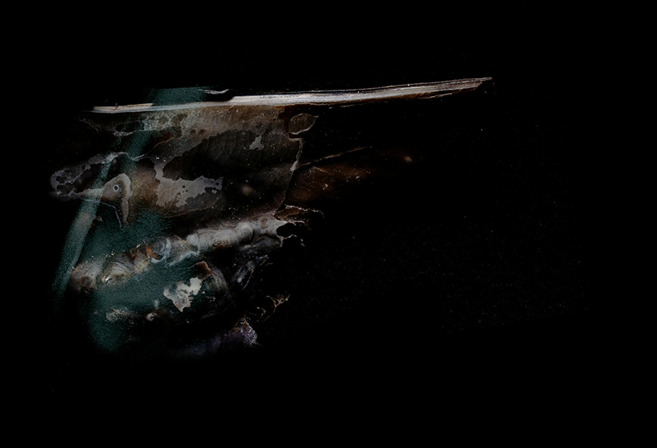 Photography by Joe Horton; Composite by Kai Benson.