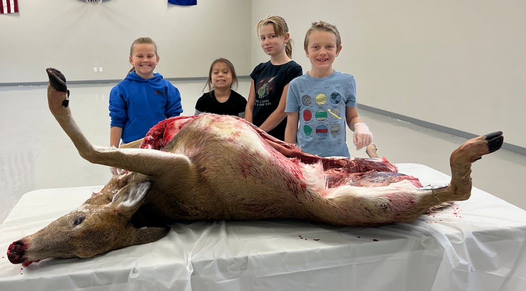 The four students at the Northwest Angle’s one-room schoolhouse recently butchered a deer as a fun class project. 
