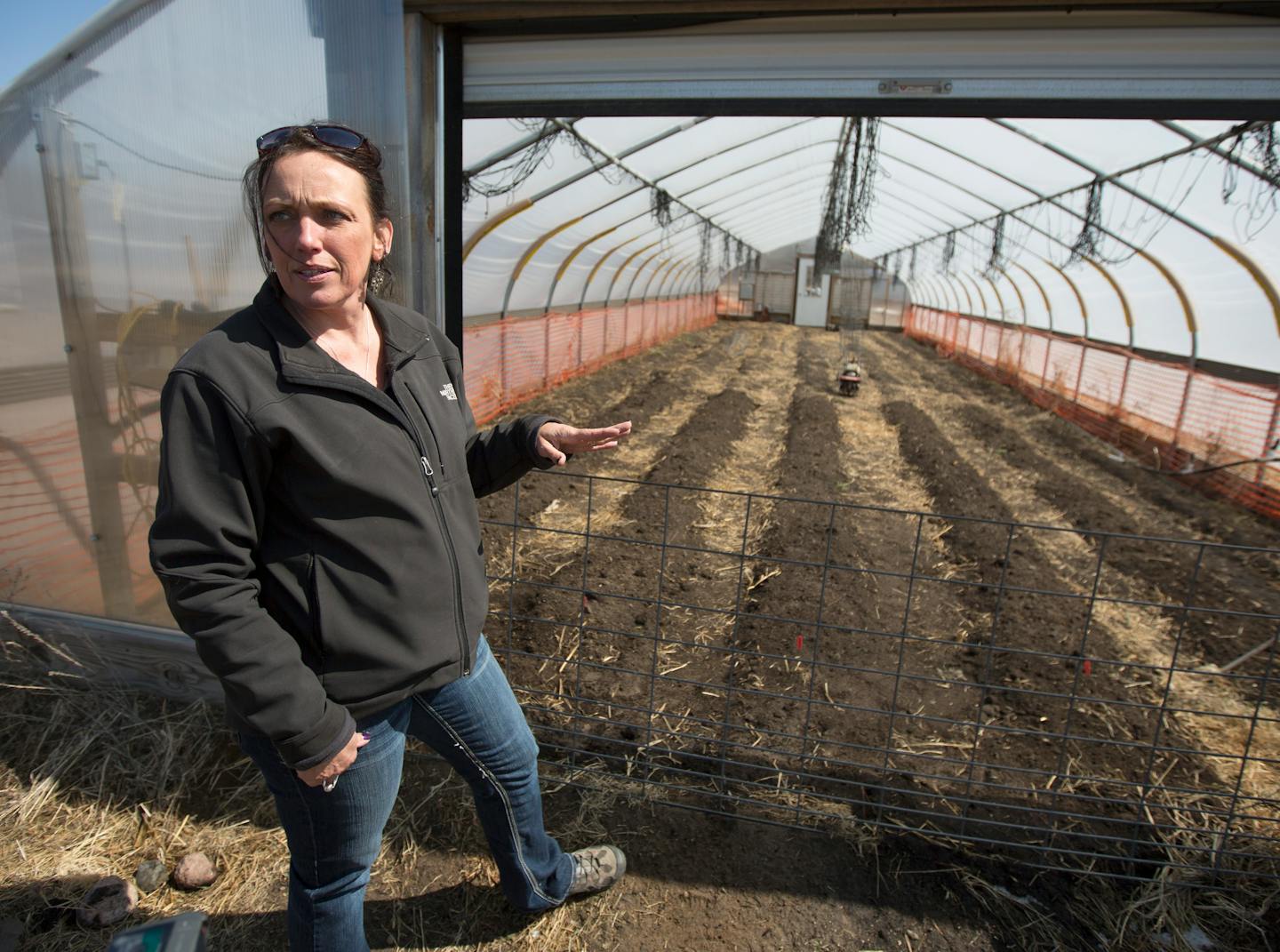 Arlene Jones is a grower and executive director of Sprout, a non-profit food hub founded in 2012. Last year Sprout purchased more than 100,000 pounds of produce from 47 local farmers and re-sold it to hospitals, school districts, reassurance and other institutions in the region near Brainerd. The increasing consumer interest in locally-grown foods has caused food hubs to pop up in half a dozen communities in Minnesota. ] Brainerd, MN - 4/13/2015