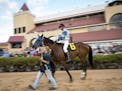 A groom led Alex Canchari, riding Benny's Babygirl, from the paddock to the track before the start of the first race Friday. ] (AARON LAVINSKY/STAR TR