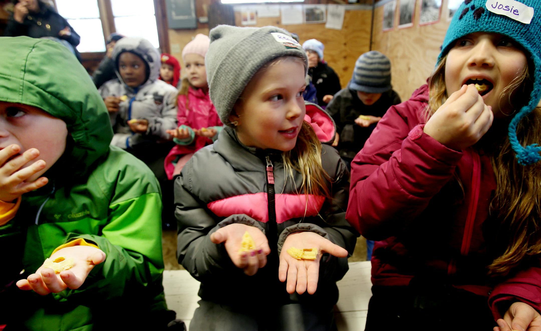 Second grade students Sam Kern (green), Reagan Welch (center) and Josie Thomas of EXPO Elementary taste two waffles, one with real maple syrup and one with mass produced syrup from a store at the Minnesota Landscape Arboretum. ] JOELKOYAMA‚Ä¢jkoyama@startribune Chaska, MN on March 27, 2014. Photo of school kids learning about maple syrup program at the MN Landscape Arboretum. Can you get some shots of kids tasting the syrup? Also, please photograph Richard Devries, who heads the