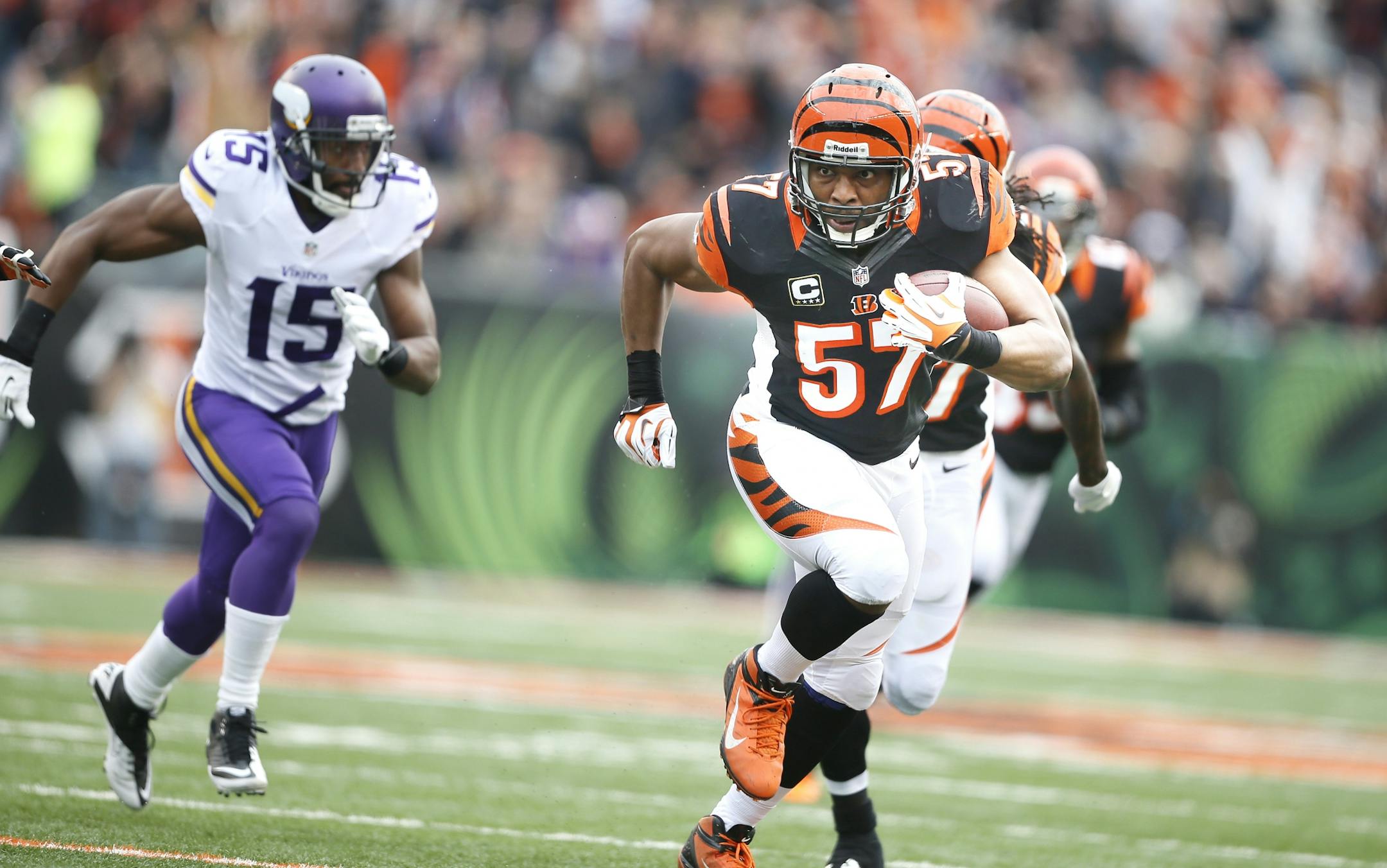 Cincinnati Bengals middle linebacker Vincent Rey (57) returned a 27 yard interception for a touchdown in the second quarter during NFL action between the Minnesota Vikings and the Cincinnati Bengals at Paul Brown Field Sunday December 22, 2013 in Cincinnati, Ohio,