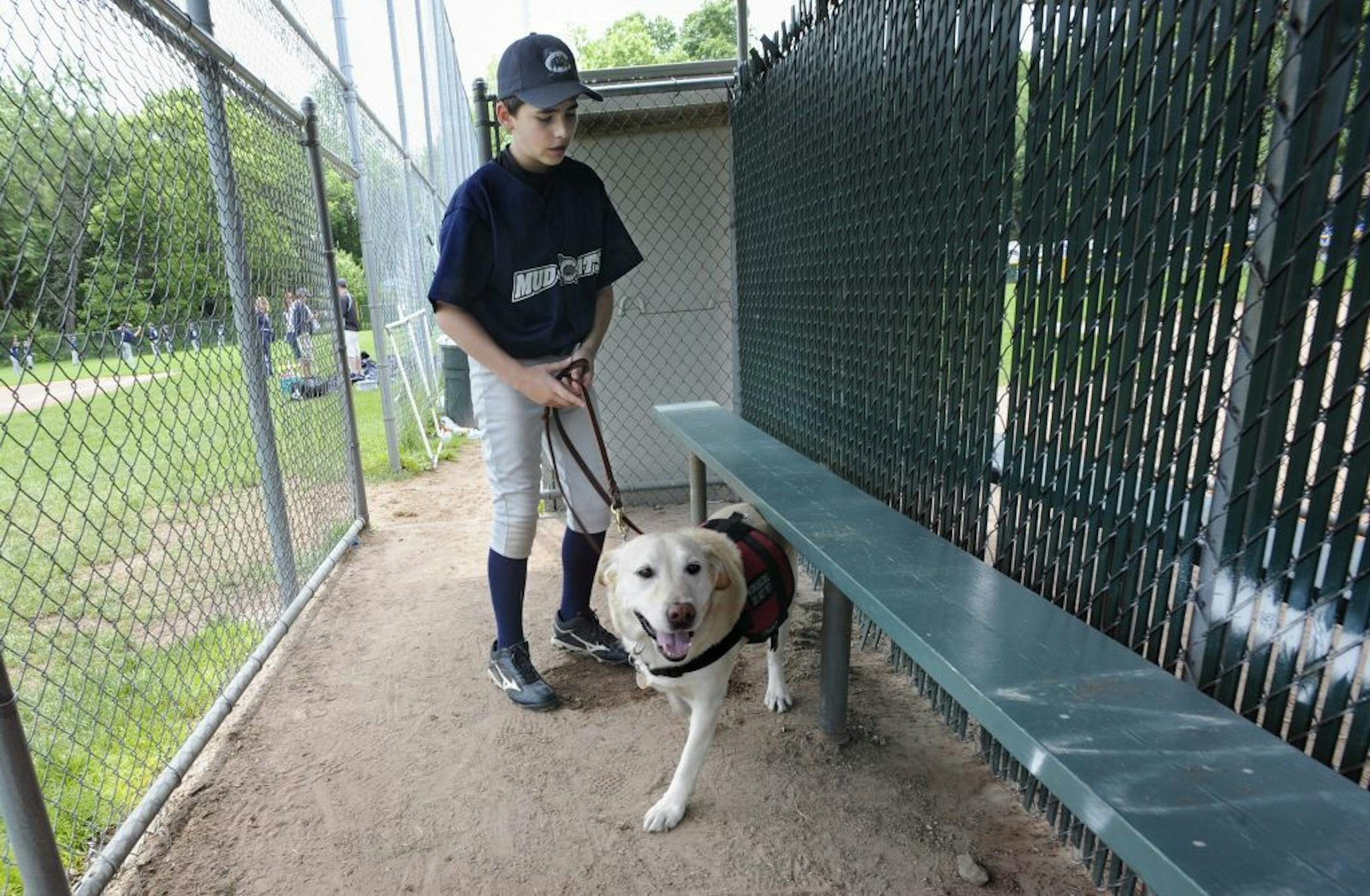 In this Sunday, May 29, 2011 file photo, Jeff Glazer guides his allergy-sniffing dog, Riley, through a dugout of a ball field before his team's baseball game in Middlebury, Conn. Riley accompanies Jeff to ensure there are no peanut products or residue that could trigger his life-threatening allergic reactions.