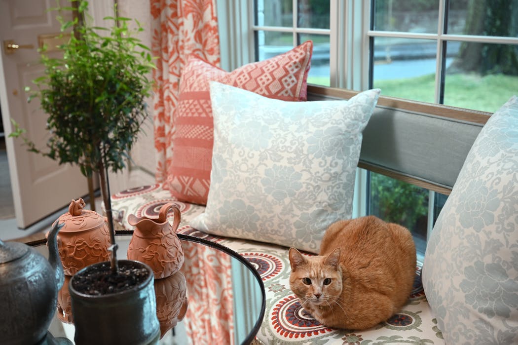Sara and Peter O’Keefe’s cat Tropic, a rescue tabby, inspired designer Barry Dixon to create a dining room based on her colors.