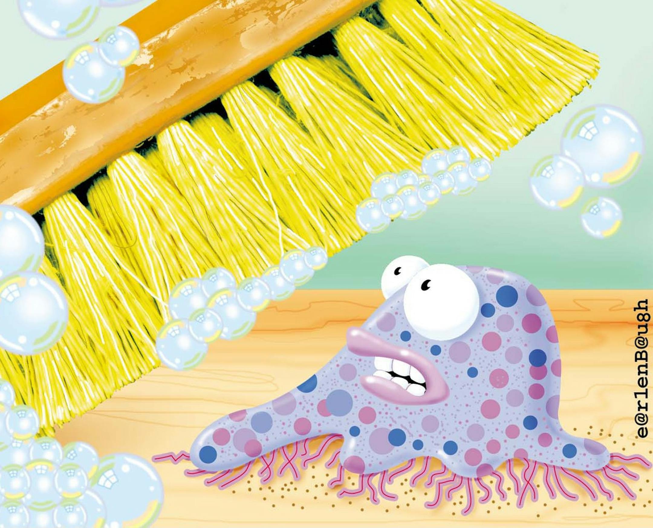 300 dpi 2 col. x 4.5 inches/108x114 mm/368x389 pixels Dennis Earlenbaugh color illustration of a scrub brush and bubbles threatening a frightened looking germ. Akron Beacon Journal 2000 With CLEANUP, Knight Ridder by Mary Beth Breckenridge