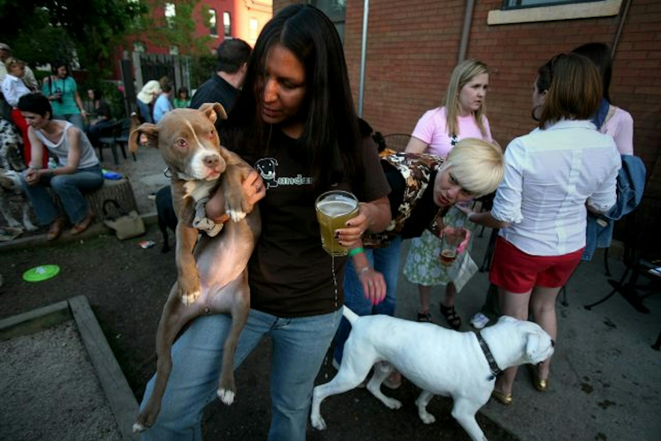 Jen Miller of Minneapolis juggled her beer, and her 3-month-old pit bull "Indigo" at the Nomad Bar.