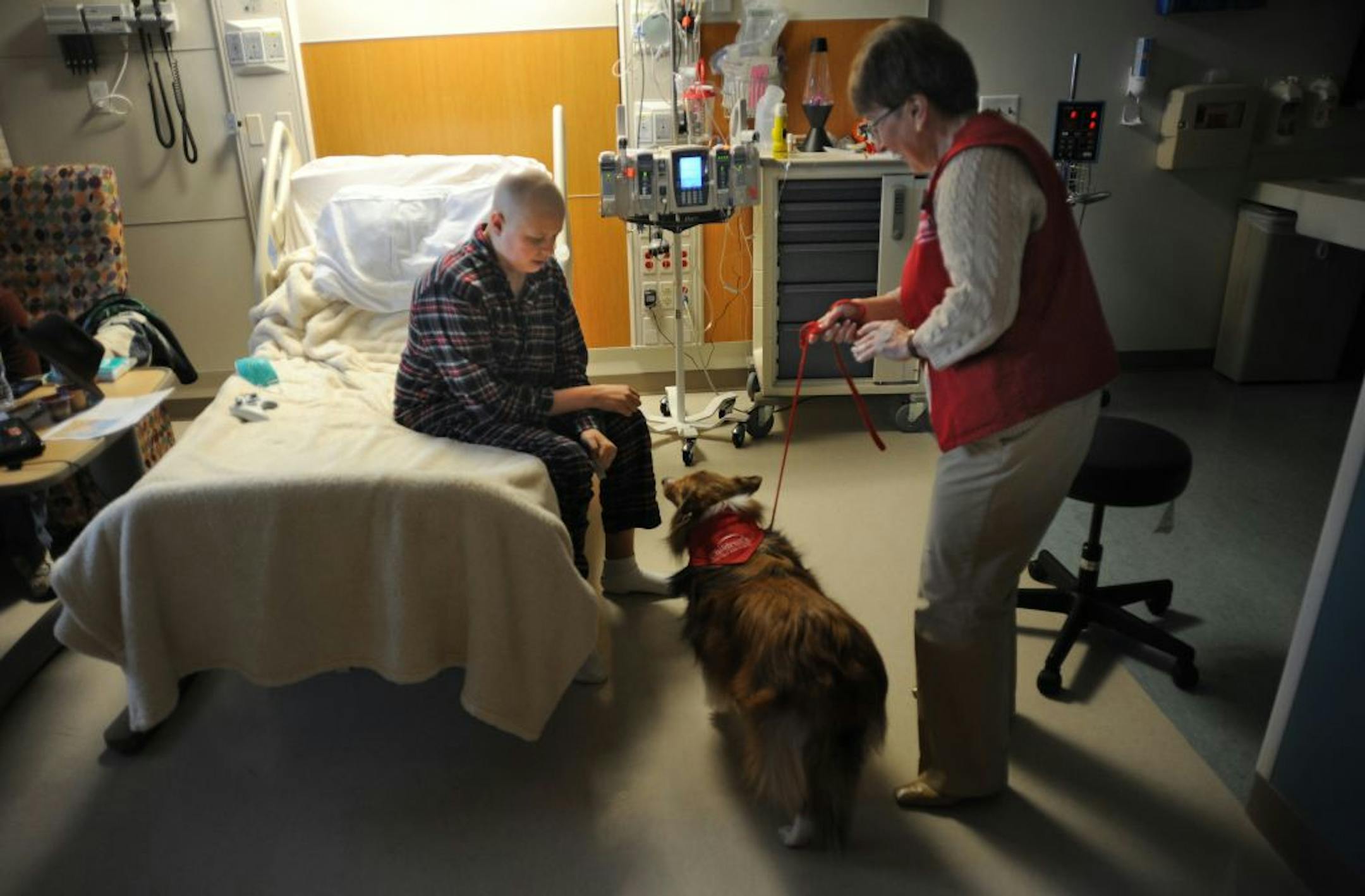 Ardie Arko and her therapy dog Maury, a three-year-old sheltie, recently visited with Halen Hirsch, 15, of St. Cloud as they made the rounds at Children's Hospital in Minneapolis. Arko said the visits give her "a front-row seat at many miracles."