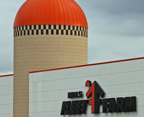 The Mills Fleet Farm chain of megastores is for sale. The Brainerd-based retailer has 35 stores in the Upper Midwest, which stand out for their huge size and orange silos.