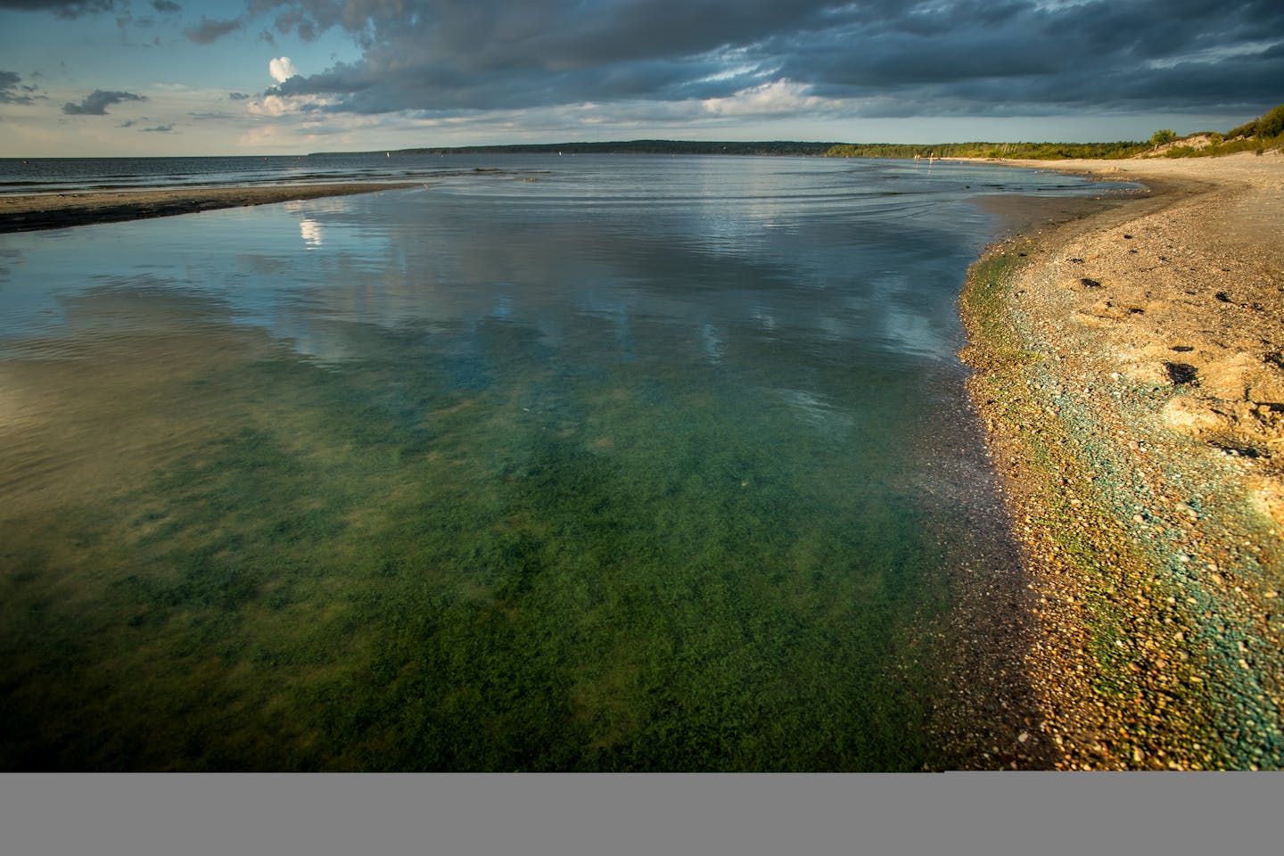 Standing water on the edge of Lake Winnipeg's shore was filled with a kind of blue-green algae in late August at Grand Beach Provincial Park. ] (AARON LAVINSKY/STAR TRIBUNE) aaron.lavinsky@startribune.com RIVERS PROJECT: We look at three of Minnesota's rivers, including the Mississippi, Red and Chippewa, to see how land use effects water quality and pollution.