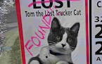 A sign in St. Cloud was updated this week to show that Tom the "Lost Trucker Cat" was found and is safe.