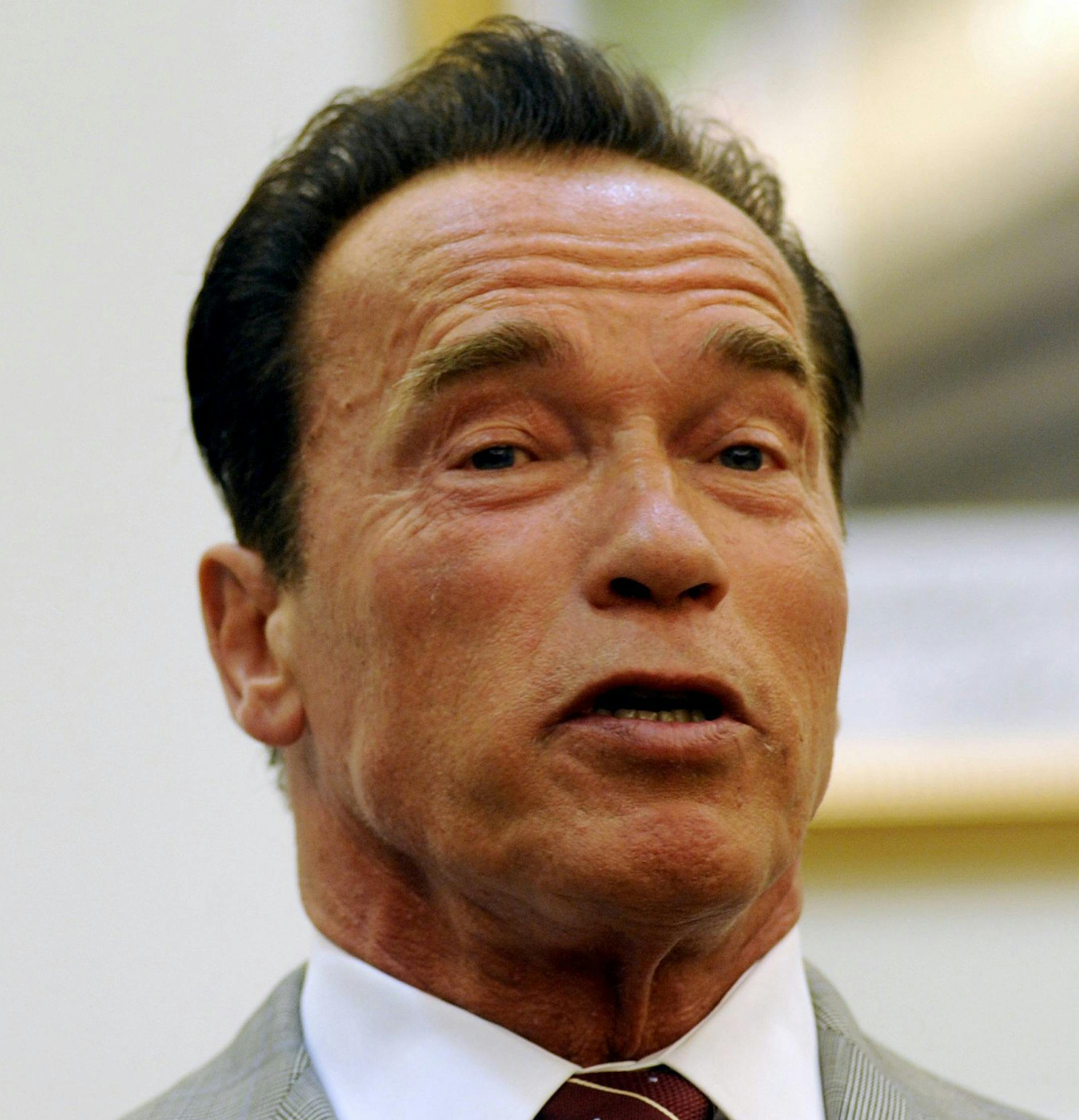 Former California Gov. Arnold Schwarzenegger, the founding chair of the R20 initiative-Regions of Climate Action, speaks at a press conference with Algerian Minister of Planning and Environment Amara Benyounes, not in pictured, in Algiers, Algeria, June 25, 2013. (Ammie Louiza/Abaca Press/MCT) ORG XMIT: 1140412 ORG XMIT: MIN1306261811361616