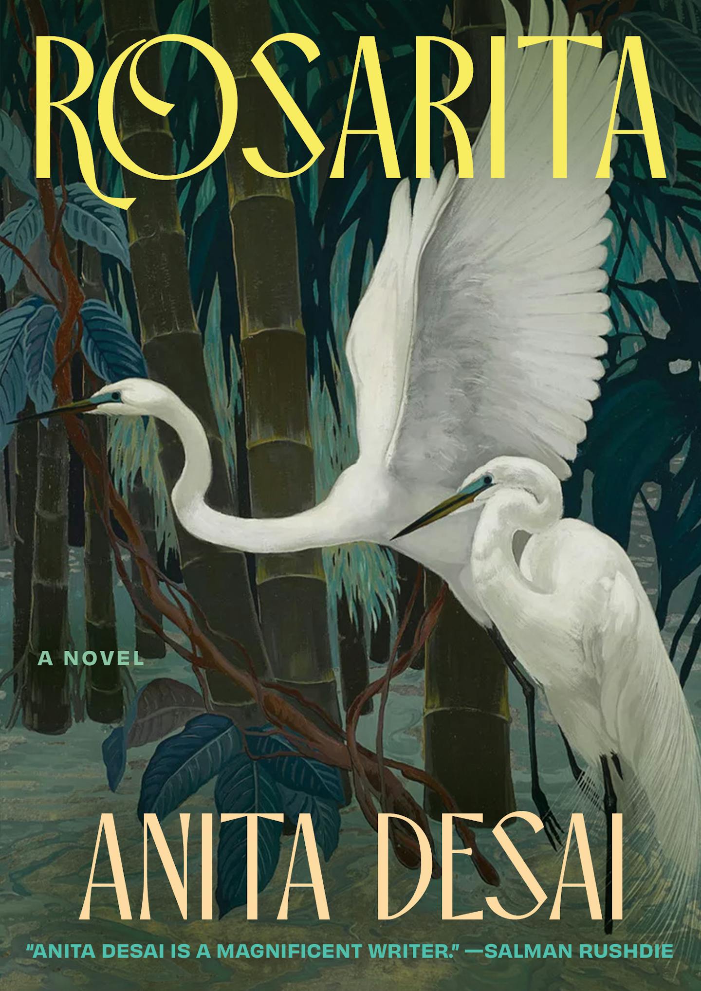 cover of Rosarita is a painting of two swans