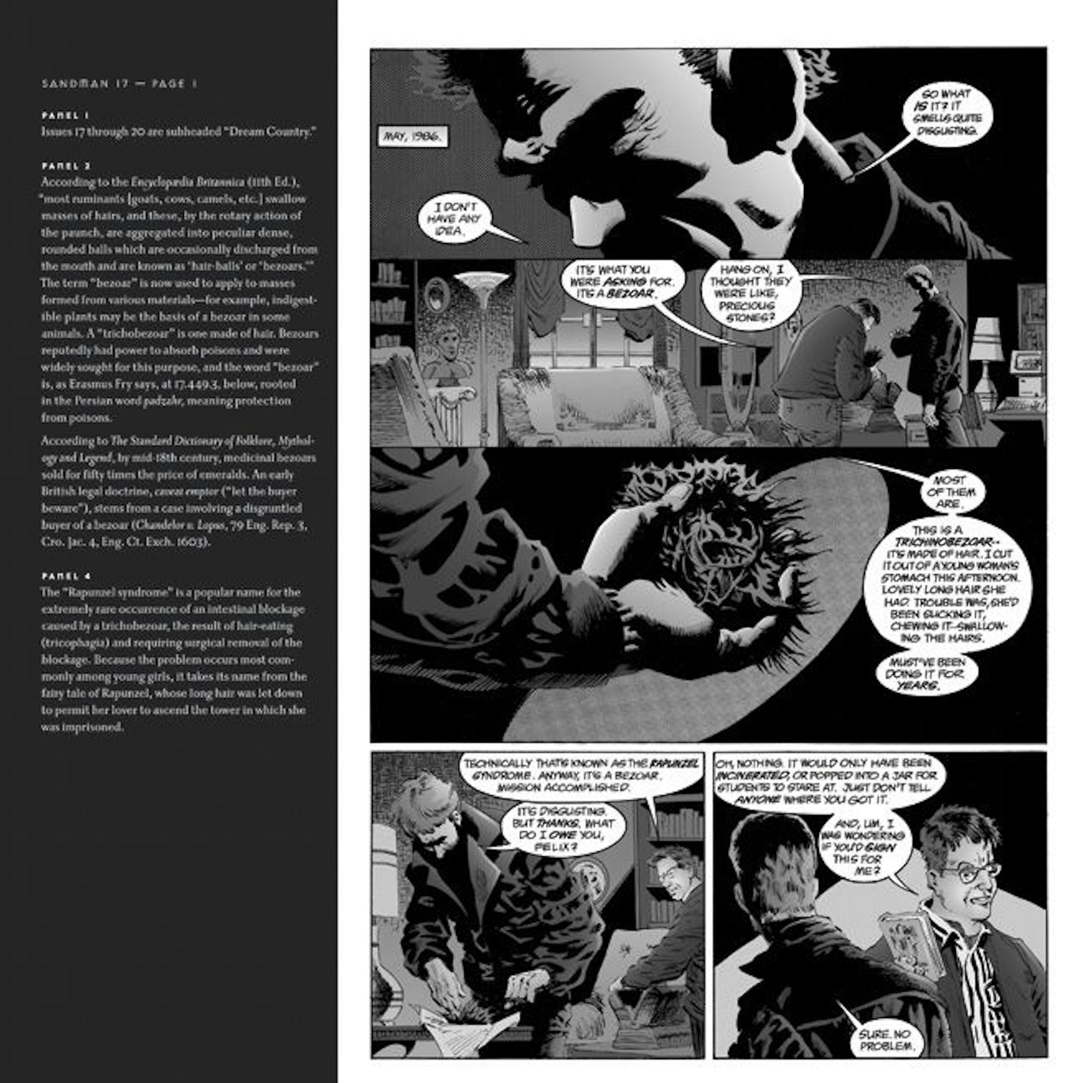 An inside page of "The Annotated Sandman" reveals the format.