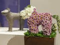 Art in Bloom, a four-day festival of fresh floral arrangements and fine art at the Minneapolis Institute of Art.