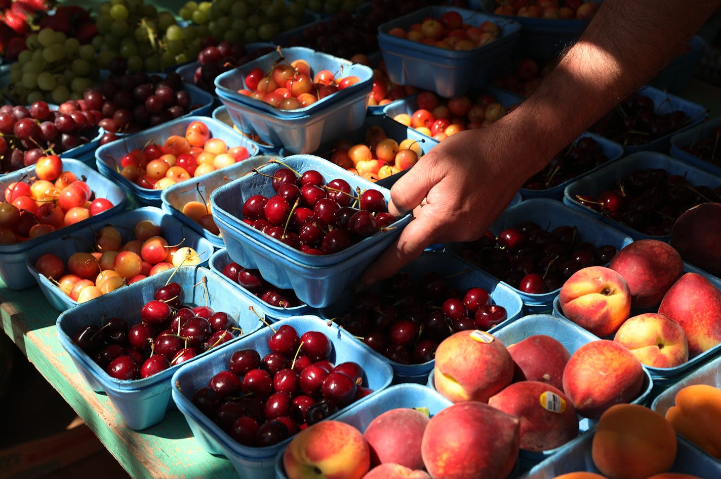 Greg Ketchum put a fresh crate of cherries out for sale at the Patnode's stand, which workers say is the oldest at the farmers market. ] ANTHONY SOUFFLE &#xef; anthony.souffle@startribune.com Vendors sold their goods from stands during the Downtown Farmers Market Thursday, June 1, 2017 at the Location Hennepin County Government Center South Plaza in Minneapolis