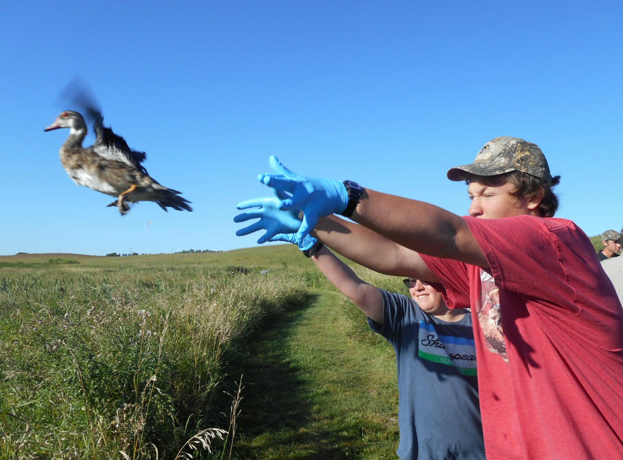Part of Woodie Camp includes banding and releasing waterfowl.