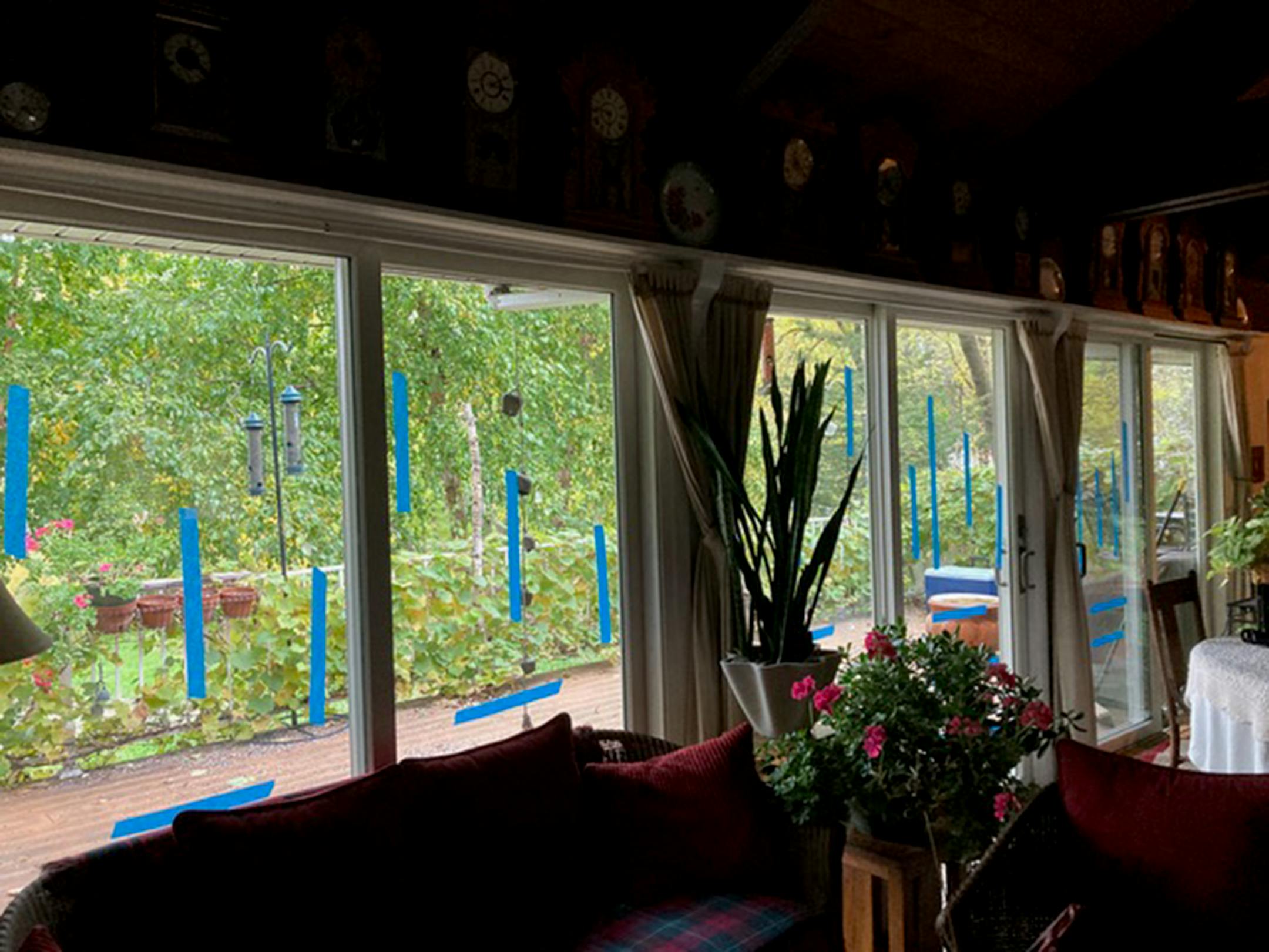 Jim Williams photo: Blue masking tape, 1.5 inches wide, in strips one to three feet long, warn birds of those large sheets of glass.