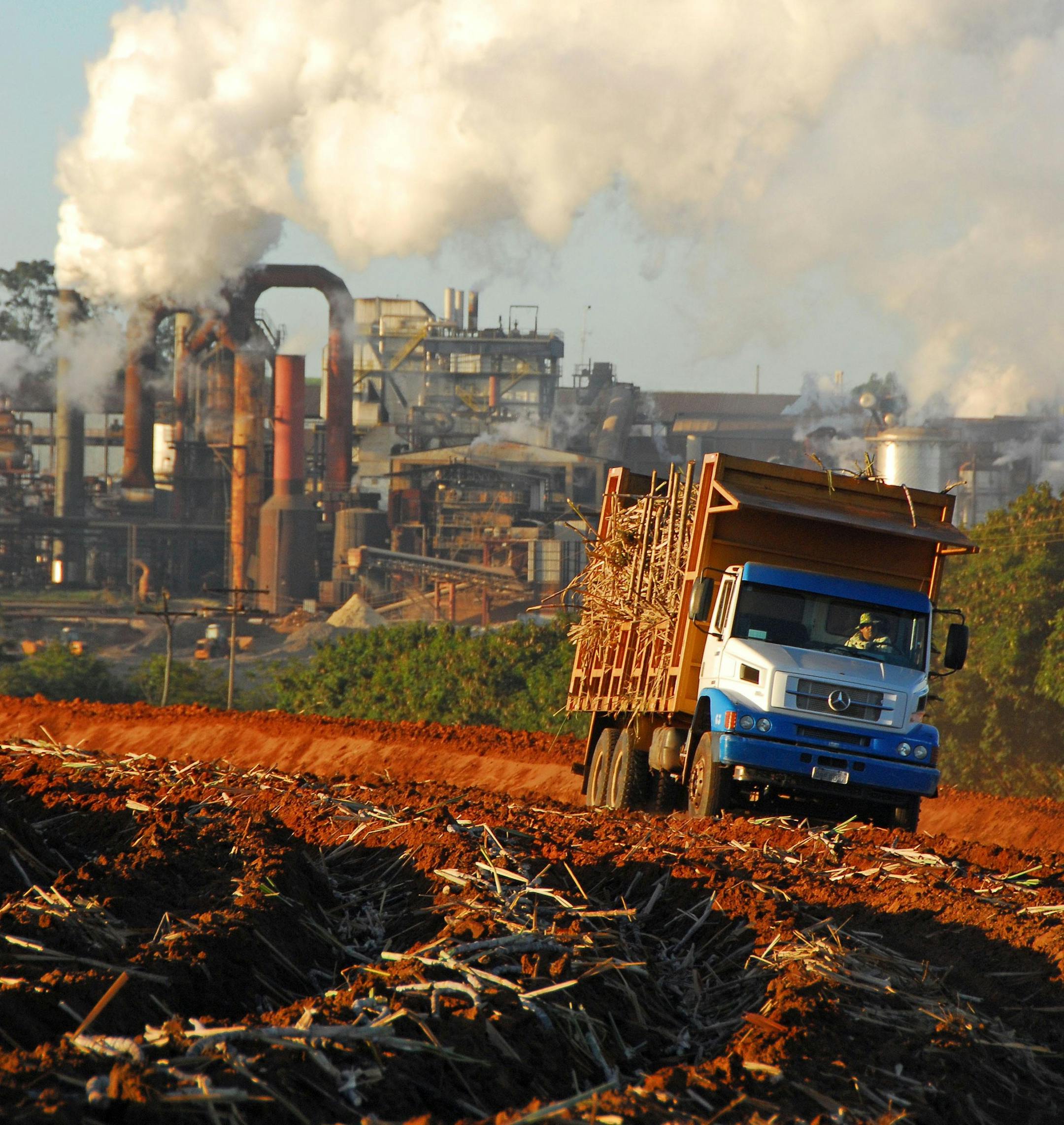 A truck loaded with sugarcane harvest drives through a field at the Cerradinho Mill Farm, Usina de A¡ucar e Alcool, in Catanduva, Brazil, on Thursday, May 11, 2006. Photographer: Paulo Fridman/Bloomberg News.