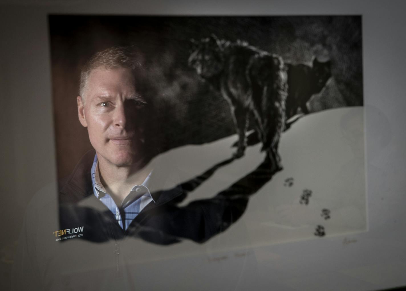 Joel Macintosh of Wolfnet was photographed in the reflection of a piece of artwork that inspired the name of his company in St. Louis Park, Minn., on October 23, 2018. ] RENEE JONES SCHNEIDER &#x2022; renee.jones@startribune.com