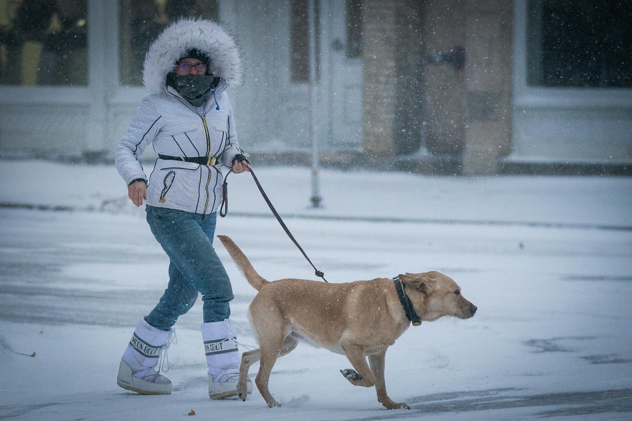 Anastasia Ingstad walked her dog Tazzy during a major winter storm in St. Paul.
