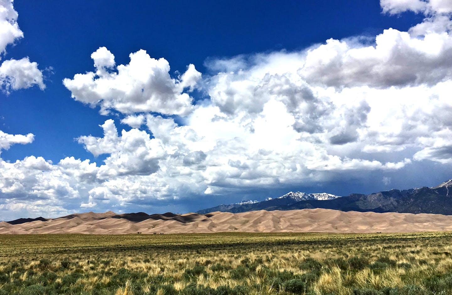 Explorer Zebulon Pike described the dunes as looking like a storm-whipped sea, only the color of sand.