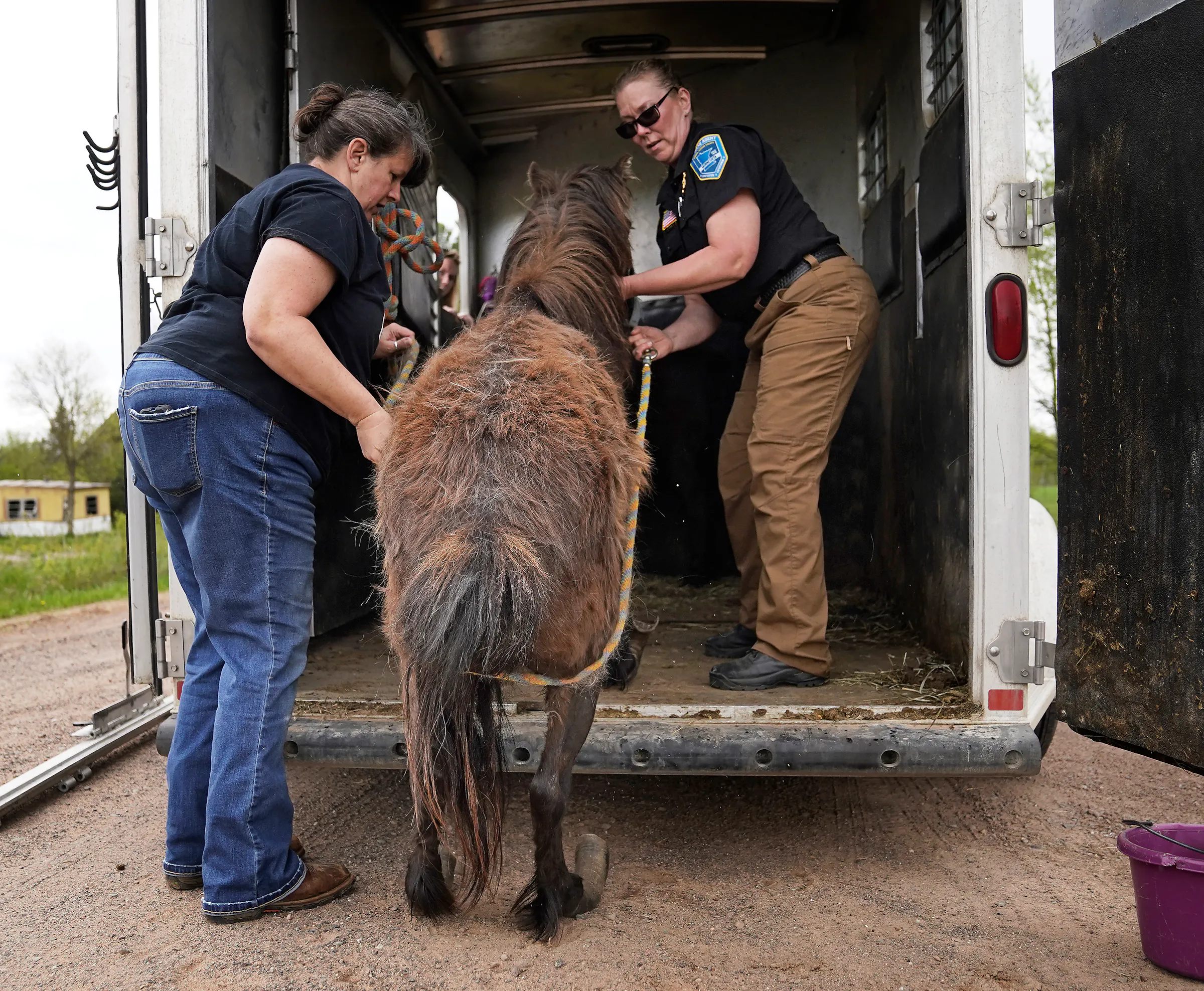 Humane agents rescue Minnesota's maltreated animals, from starving ...
