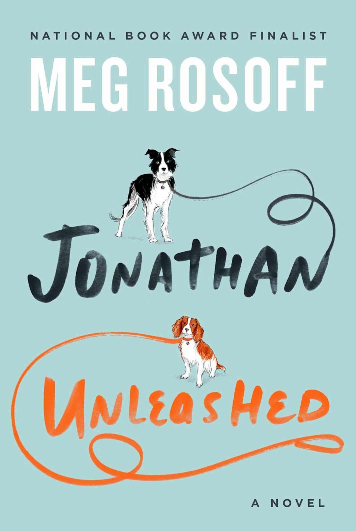 "Jonathan Unleashed," by Meg Rosoff