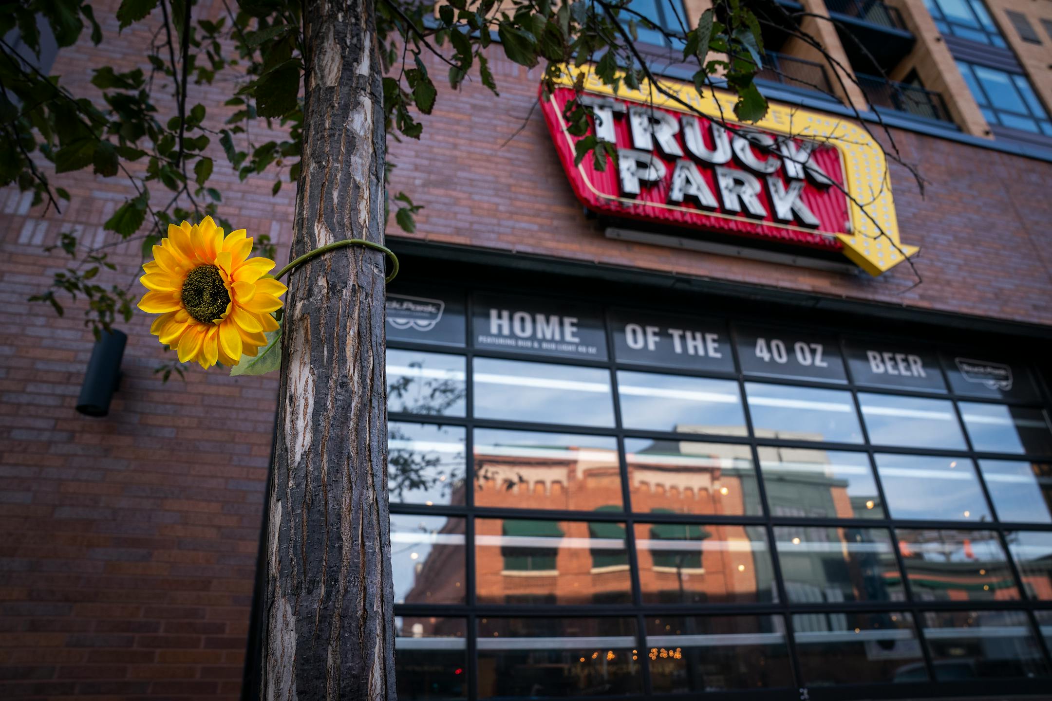 A single fake flower was tied to a tree outside Seventh Street Truck Park in St. Paul.