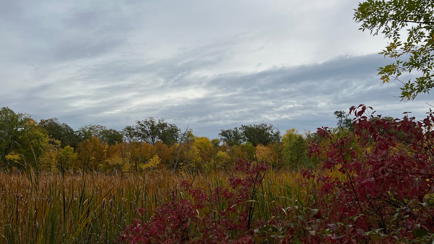 Fall colors in Glendalough State Park 10/4/2022